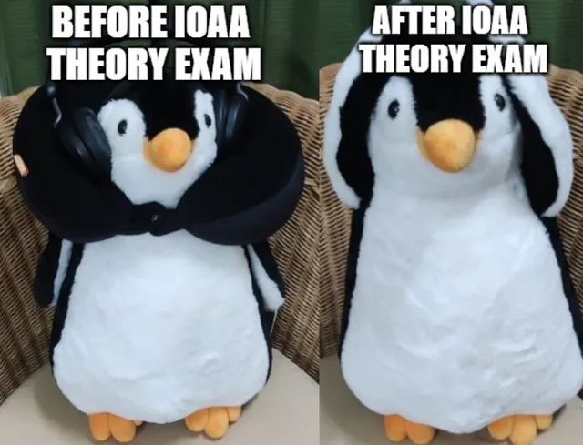 Pengu's reaction to the theory exam