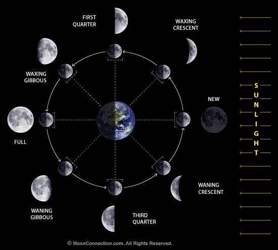 Phases of the Moon
